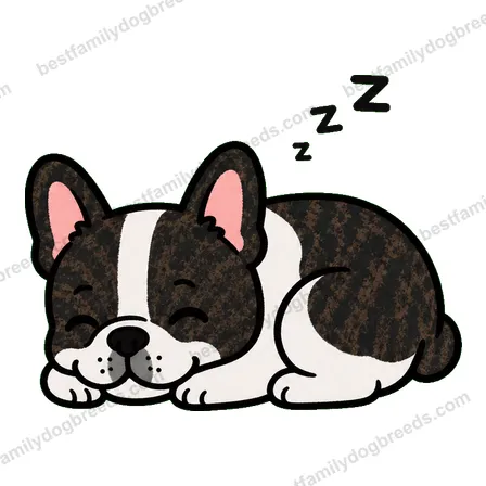 French Bulldog dog meme sticker preview