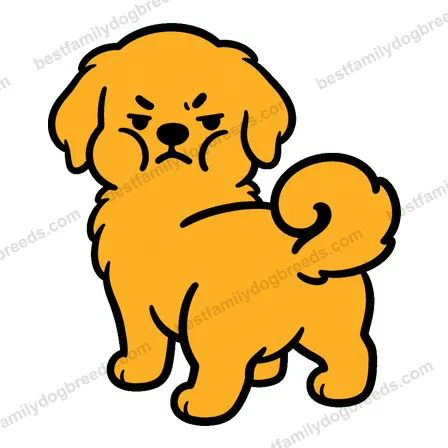 Golden Retriever dog meme sticker preview