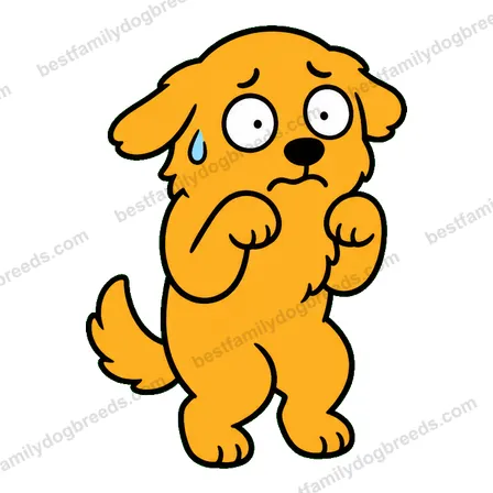 Golden Retriever dog meme sticker preview