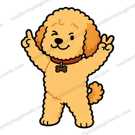 Goldendoodle sticker 12