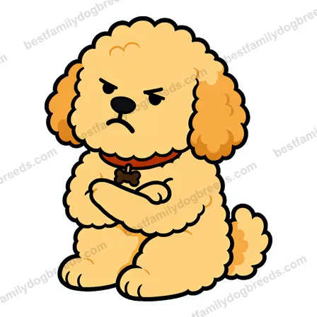 Goldendoodle sticker 19