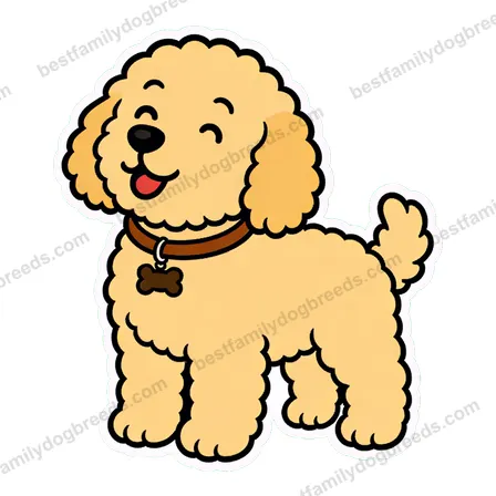 Goldendoodle sticker 25