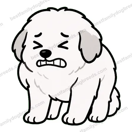Great Pyrenees dog meme sticker preview