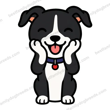 Greyhound dog meme sticker preview