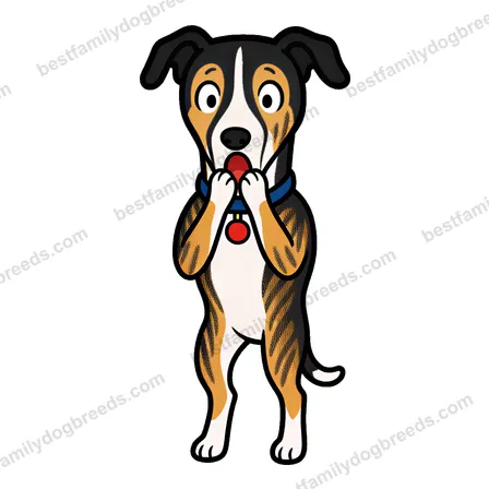 Greyhound surprised dog meme sticker