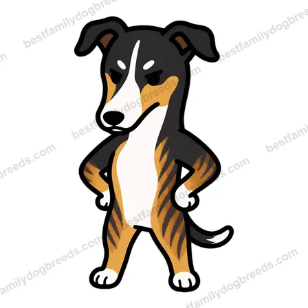 Greyhound sticker 9