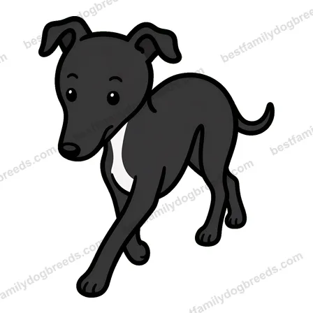 Greyhound dog meme sticker preview