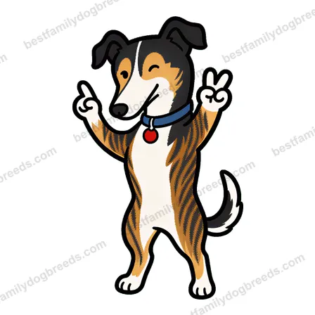 Greyhound sticker 12