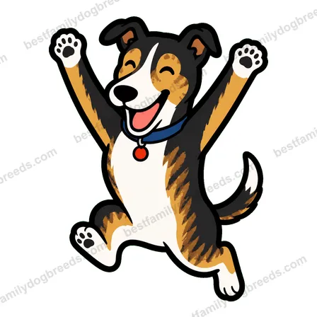 Greyhound sticker 13