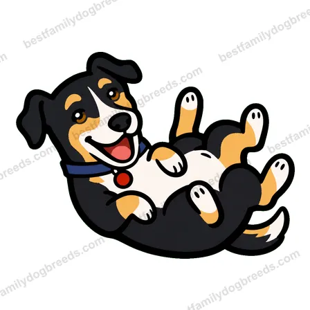 Greyhound dog meme sticker preview