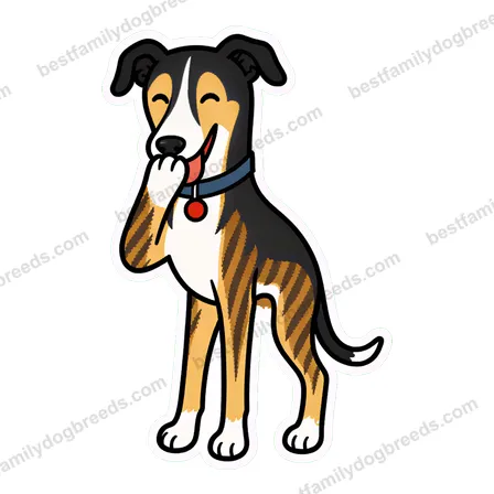 Greyhound sticker 16
