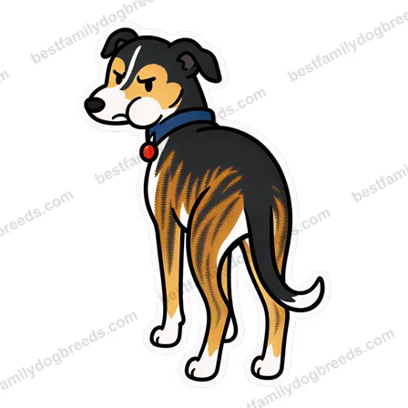 Greyhound dog meme sticker preview