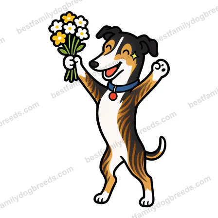 Greyhound sticker 24