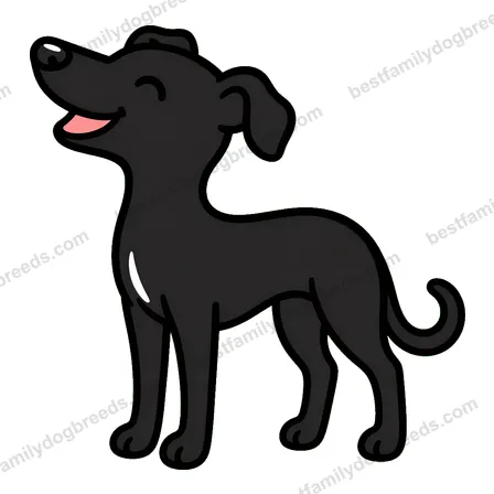 Greyhound sticker 25