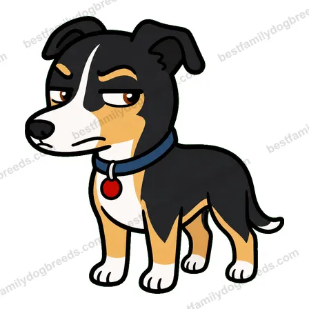 Greyhound sticker 33