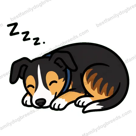 Greyhound dog meme sticker preview