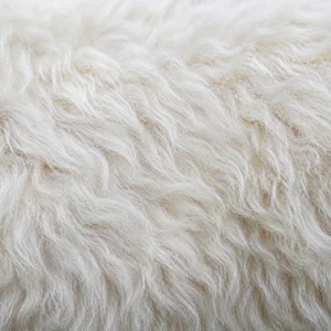 Kuvasz — coat texture