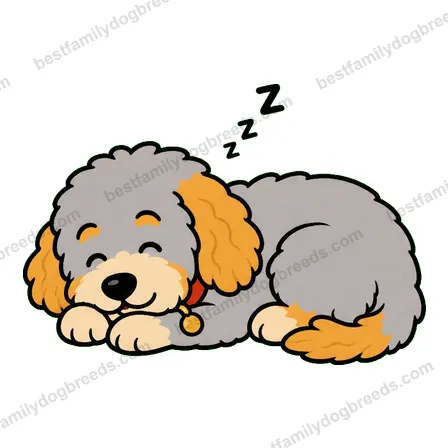 Labradoodle dog meme sticker preview