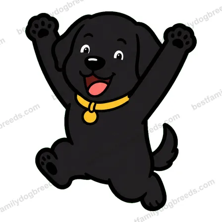 Labrador Retriever sticker 13