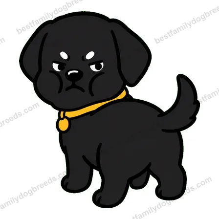 Labrador Retriever dog meme sticker preview