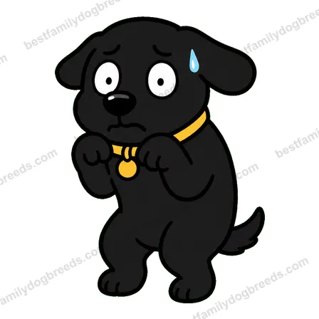 Labrador Retriever dog meme sticker preview