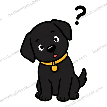 Labrador Retriever dog meme sticker preview