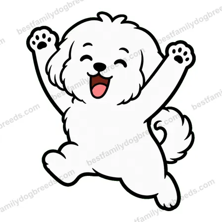 Maltese sticker 13