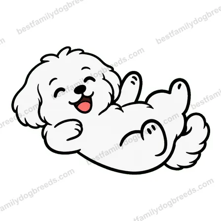 Maltese dog meme sticker preview