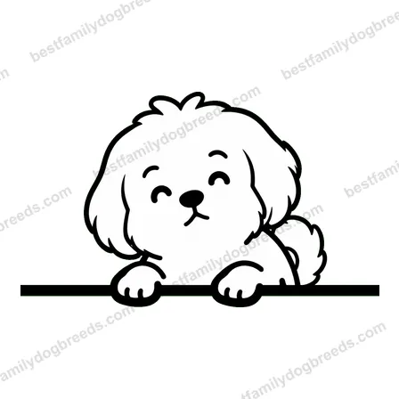 Maltese sticker 17
