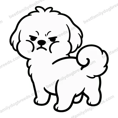 Maltese dog meme sticker preview