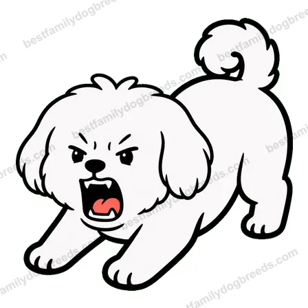 Maltese sticker 30