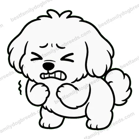 Maltese dog meme sticker preview