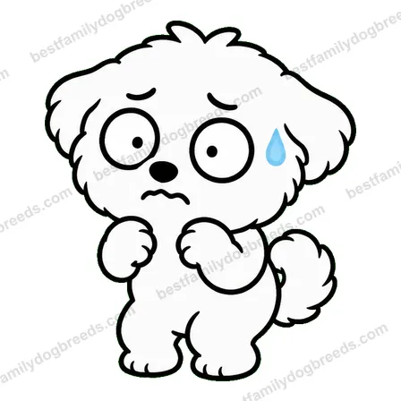 Maltese dog meme sticker preview