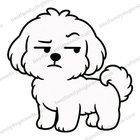 Maltese sticker 33