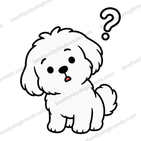 Maltese dog meme sticker preview