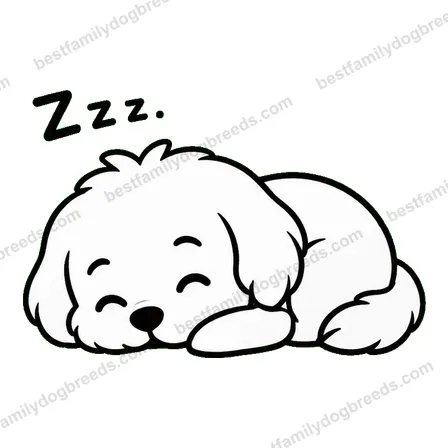 Maltese dog meme sticker preview