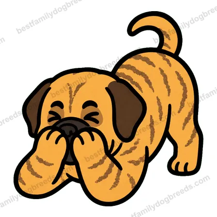 Mastiff cute dog meme sticker