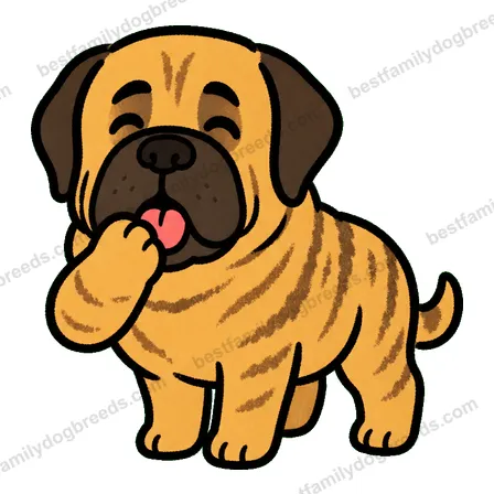 Mastiff sticker 16
