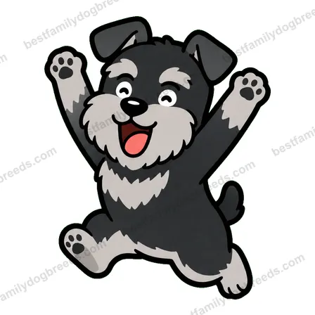 Miniature Schnauzer sticker 13