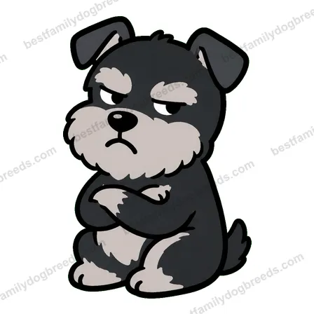 Miniature Schnauzer sad dog meme sticker
