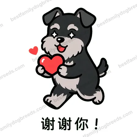 Miniature Schnauzer sticker 28