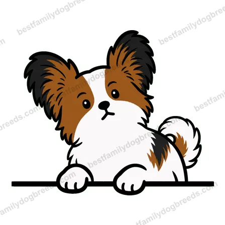 Papillon sticker 17