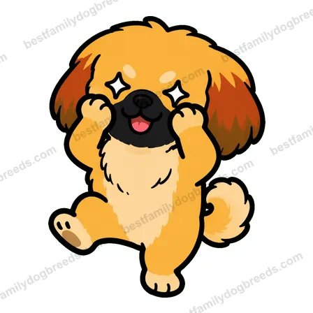 Pekingese dog meme sticker preview