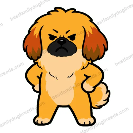 Pekingese sticker 9