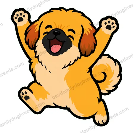 Pekingese sticker 13