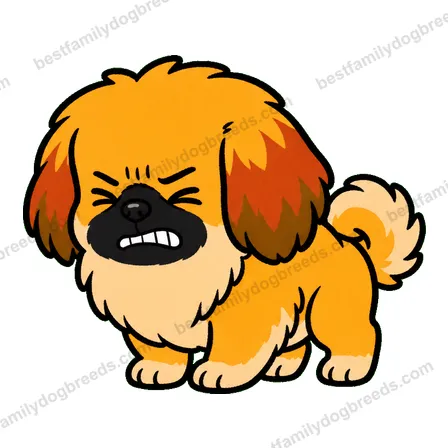 Pekingese dog meme sticker preview