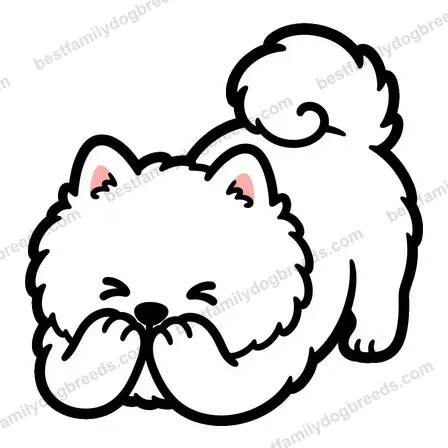 Pomeranian cute dog meme sticker