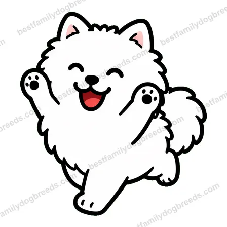 Pomeranian dog meme sticker preview