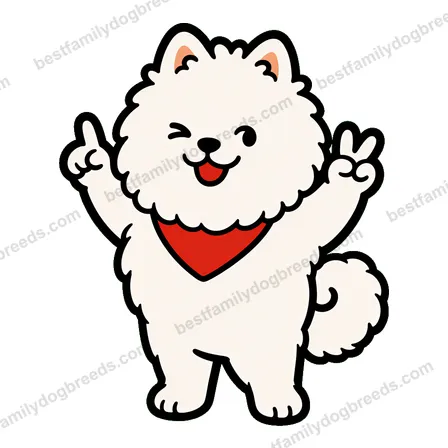 Pomeranian sticker 12