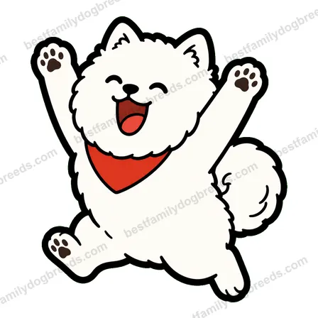 Pomeranian sticker 13